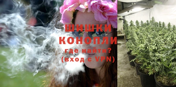 не бодяженный Белокуриха