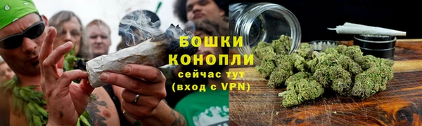 не бодяженный Белокуриха